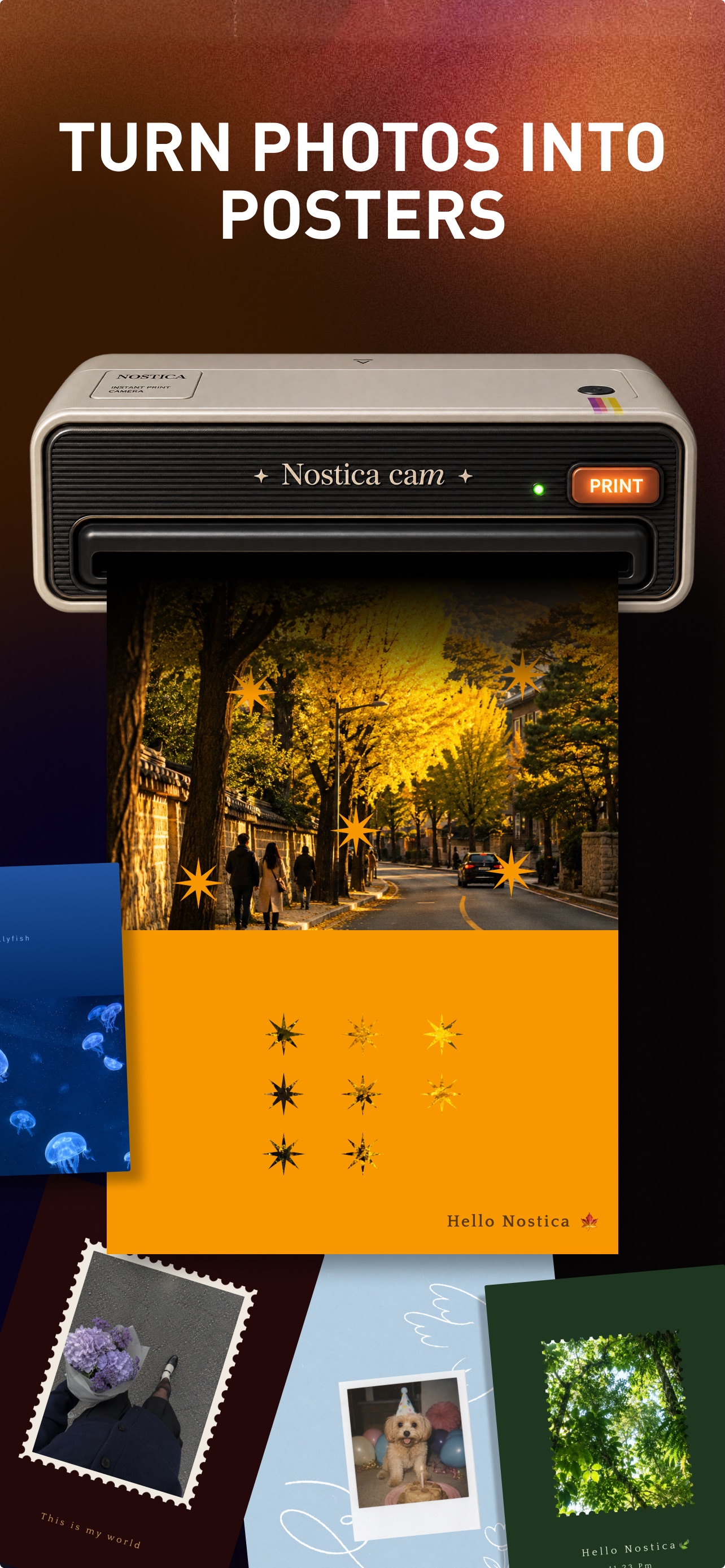 Nostica creative tools, as shown in the App Store